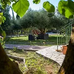 Leventis Complex With Sharing Pool Villa Spartia (Kefalonia)