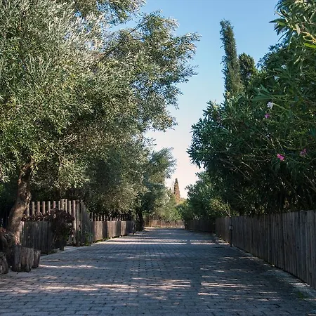 Villa Leventis Complex With Sharing Pool Spartia