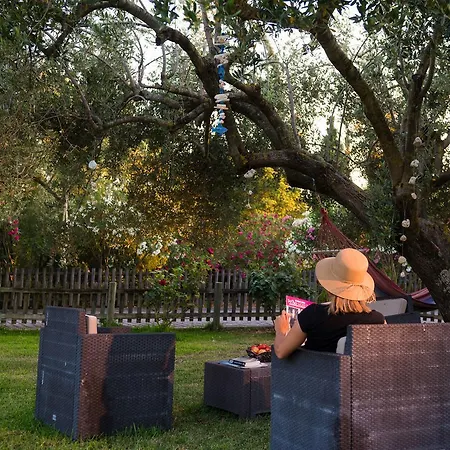 Leventis Complex With Sharing Pool *