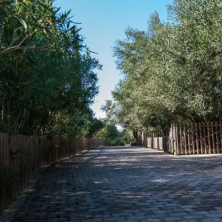 Leventis Complex With Sharing Pool וילה